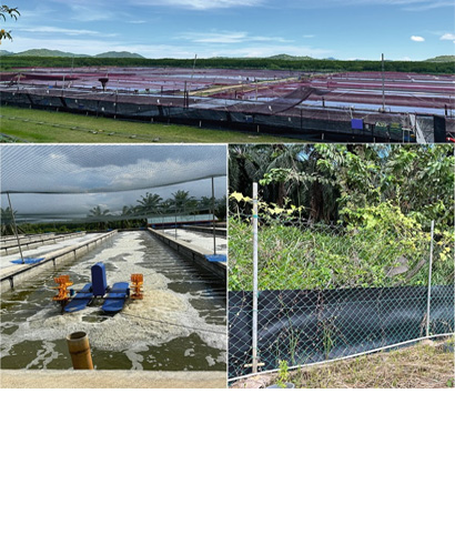 Health & Biosecurity Support