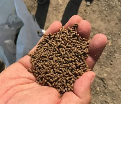 Vannamei & Fish Feed Supply